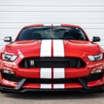 2016 Ford Shelby GT350R Mustang (GRILL) POSTER 24 X 36 INCH SWEET!