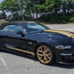 2019 FORD Mustang Shelby GT Heritage Convertible POSTER 24 X 36 INCH SWEET!