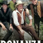 BONANZA TV SERIES POSTER 24 X 36 INCH AWESOME!