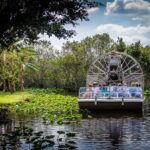EVERGLADES FLORIDA HOVER POSTER 24 X 36 Inch POSTER BEAUTIFUL SCENIC LANDSCAPE!
