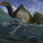 Spinosaurus (Diving) DINOSAUR POSTER 24 X 18 Inches NICE!
