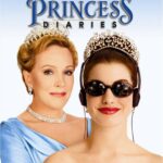 THE PRINCES DIARIES MOVIE POSTER 24 X 36 INCH