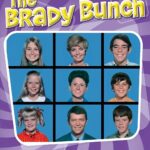 The Brady Bunch TV Series POSTER 24 X 18 Inches