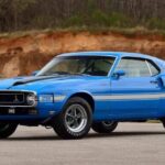 1970 Ford Shelby GT500 Fastback Mustang POSTER 24 X 36 INCH SWEET!