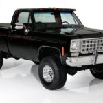1976 Chevrolet K10 Silverado Truck (Black) POSTER 24 X 36 INCH