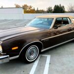 1976 Ford Gran Torino POSTER 24 X 36 INCH Looks Sweet!
