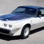1980 PONTIAC FIREBIRD TRANS AM (WHITE - BIRD) POSTER 24 X 36 INCH Looks GREAT!