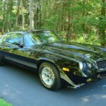 1981 Chevrolet Camaro Z28 POSTER 24 X 36 INCH SWEET LOOKING!