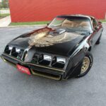 1981 PONTIAC FIREBIRD TRANS AM (BLACK - BIRD) POSTER 24 X 36 INCH Looks GREAT!