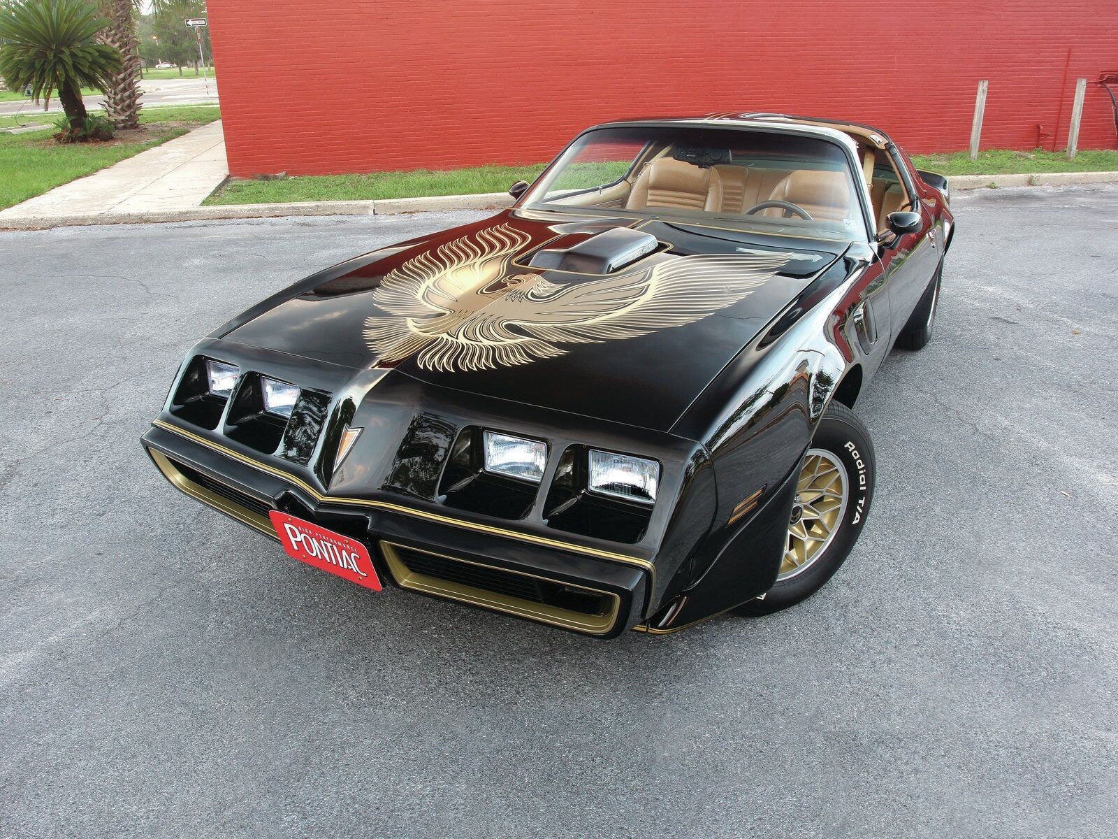 1981-PONTIAC-FIREBIRD-TRANS-AM-BLACK-BIRD-POSTER-24-X-36-INCH-Looks-GREAT-112253515603 1981 PONTIAC FIREBIRD TRANS AM (BLACK - BIRD) POSTER 24 X 36 INCH Looks GREAT! - Image 1