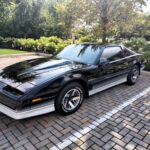 1984 Pontiac Firebird Trans Am T-Tops (Black-Gray) POSTER 24 X 36 INCH Sweet!