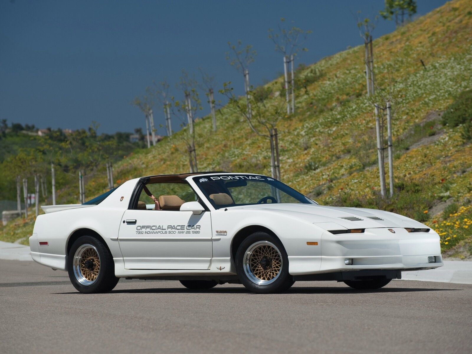 1989-PONTIAC-FIREBIRD-TRANS-AM-PACE-CAR-POSTER-24-X-36-INCH-Looks-GREAT-112253531913 1989 PONTIAC FIREBIRD TRANS AM (PACE CAR) POSTER 24 X 36 INCH Looks GREAT! - Image 1