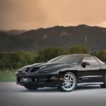 2000 PONTIAC FIREBIRD TRANS AM (BLACK SIDE) POSTER 24 X 36 INCH Looks GREAT!