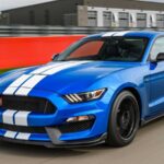 2019 FORD MUSTANG SHELBY GT350 (Track) POSTER 24 X 36 INCH SWEET!
