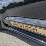 2019 FORD Mustang Shelby GT Heritage (Badging) POSTER 24 X 36 INCH Sweet Ride!