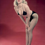 Jayne Mansfield (Fishnet) 24 X 18 Inches Sweet!