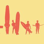 Surfboard Designs -Shapes POSTER 24 X 18" SWEET! Wall Art