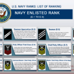 U.S. Navy Enlisted Rank E1 to E9 POSTER 24 X 36 Inches