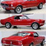 1968 Ford Mustang Fastback (Red) All 3 on ONE POSTER 24 X 36 Inches SWEET!