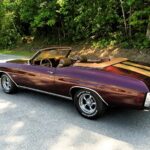 1971 Chevrolet Chevelle SS Convertible 24 X 36 INCH Beautiful Machine!