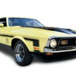 1971 FORD MUSTANG MACH 1 (GRABBER YELLOW) POSTER 24 X 36 INCH Sweet!