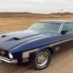 1971 Ford Mustang Mach 1 POSTER 24 X 36 INCH SWEET!