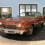 1973 CHEVROLET MONTE CARLO LANDAU (BROWN) POSTER 24 X 36 INCH SWEET!