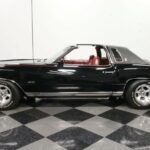 1973 CHEVROLET MONTE CARLO LANDAU (T-TOPS) POSTER 24 X 36 INCH SWEET!