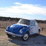 1973 Volkswagen Superbeetle POSTER 24 X 36 INCH SWEET!
