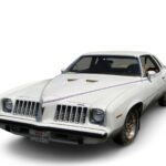 1974 PONTIAC GRAND AM (WHITE) POSTER 24 X 36 INCH LOOKS AWESOME!