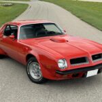 1974 Pontiac Firebird Trans Am (Red) POSTER 24 X 36 INCH SWEET!