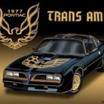 1977 PONTIAC FIREBIRD TRANS AM POSTER 24 X 36 INCH Sweet!