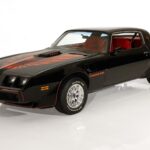 1980 Pontiac Firebird Trans Am 4.9 (Angle) 24 X 36 INCH Nice!