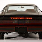 1980 Pontiac Firebird Trans Am 4.9 (Rear) 24 X 36 INCH Looks Awesome!