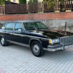 1984 BUICK PARK AVENUE POSTER 24 X 36 INCH SWEET LOOKING!
