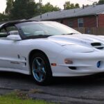 1994 PONTIAC FIREBIRD TRANS AM POSTER 24 X 36 INCH Looks GREAT!