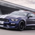 2019 FORD MUSTANG SHELBY GT350 (Race Track) POSTER 24 X 36 INCH Sweet Ride!