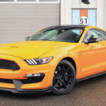 2019 Ford Shelby GT350 (Front Angle) POSTER 24 X 36 INCH SWEET!