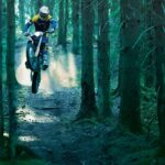 Motocross (Between the Trees) MX Dirt Bike POSTER 24 X 36 INCH Sweet!