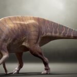 Parasaurolophus (Side) DINOSAUR POSTER 24 X 18 Inches NICE!