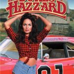 The Dukes of Hazzard (Daisy) TV Series POSTER 24 X 36 INCH SWEET!