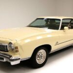 1974 CHEVROLET MONTE CARLO LANDAU (YELLOW) POSTER 24 X 36 INCH SWEET!