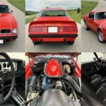 1974 Pontiac Firebird Trans Am Collage (Red)POSTER 24 X 36 INCH SWEET!