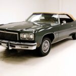 1975 Chevrolet Caprice (Green) POSTER 24 X 36 INCH Looks Sweet!