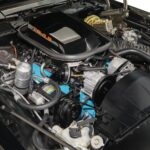 1980 Pontiac Firebird Trans Am 4.9 (Engine) 24 X 36 INCH Nice!