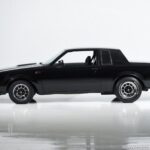 1987 Buick Regal Grand National Turbo (Side View) POSTER 24 X 36 INCH SWEET!