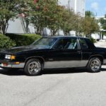 1987 Olds Cutlass Supreme 442 POSTER 24 X 36 INCH SWEET LOOKING!