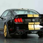 2019 FORD MUSTANG SHELBY GT-H (Heritage) Rear POSTER 24 X 36 INCH SWEET!