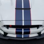 2019 Ford Mustang Shelby GT350R (Hood Look) POSTER 24 X 36 INCH SWEET!