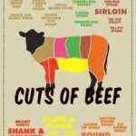 Cuts of Beef Meat Color Coded Chart Butcher POSTER 24 X 18 Inches Nice Wall Art